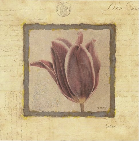 Obrázek 18x18, tulipán ve výřezu, rám sv. dub - červotoč