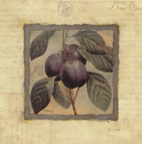 Obrázek 18x18, švestky ve výřezu, rám sv. dub - červotoč