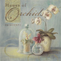 Obrázek 18x18, orchidej na modrém pozadí, rám bílý s patinou
