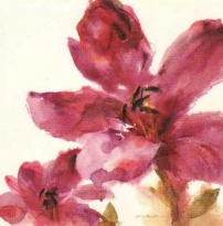 Obrázek 18x18, červený květ II., rám sv. dub - červotoč