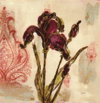 Obrázek 18x18, kosatec rudý I., rám sv. dub - červotoč