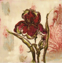 Obrázek 18x18, kosatec rudý II., rám dv. dub - čevotoč