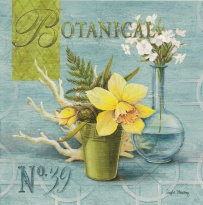 Obrázek 18x18, narcis - botanical, rám bílý s patinou