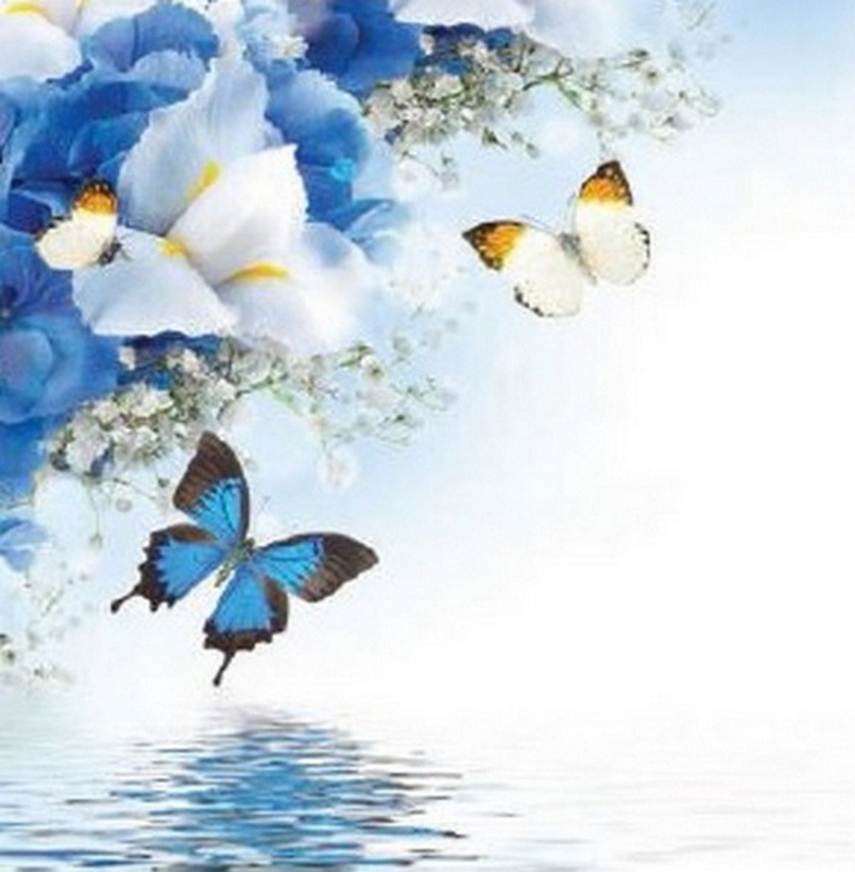 Obrázek 30x30, motýl modrý, rám bílý s patinou