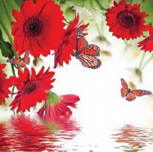 Obrázek 30x30, motýl červený., rám bílý s patinou