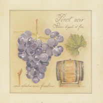 Obrázek 20x20, pinot noir, rám sv. dub - červotoč