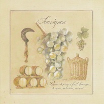 Obrázek 20x20, sauvignon, rám sv. dub - červotoč