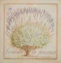 Obrázek 40x40, levandule provence II., rám bílý s patinou