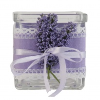 Svícen hranatý, levandule