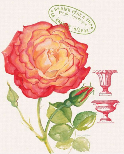 Obrázek 24x30, velkokvětá růže, rám sv. dub .- červotoč