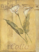 Obrázek 17x22, orchidej, rám sv. dub - červotoč