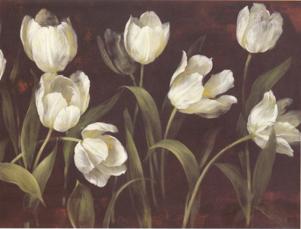 Obrázek 17x22, tulipány, rám bílý s patinou