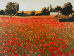 Obrázek 17x22, pole s máky II., rám bílý s patinou