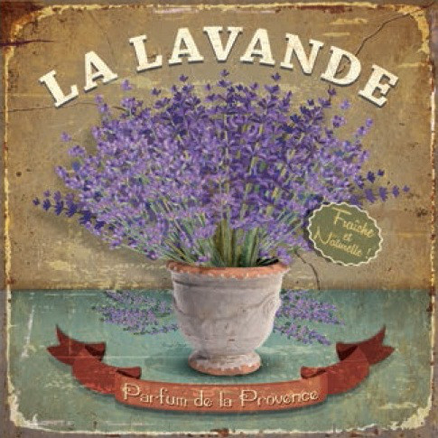 Obrázek 30x30, lavande - parfum de la provence, rám sv. dub - červotoč