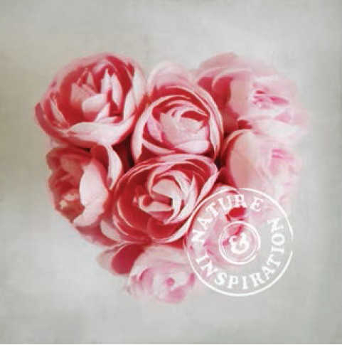 Obrázek 30x30, srdce, růže, rám bílý s patinou