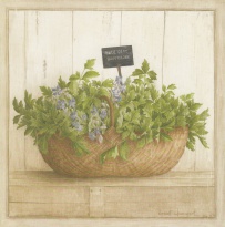 Obrázek 14x14, petržel, rám bílý s patinou