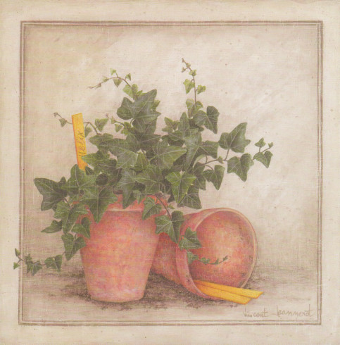 Obrázek 20x20, břečťan I., rám bílý s patinou