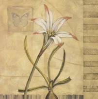 Obrázek 18x18, lilie II., rám bílý s patinou
