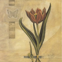 Obrázek 18x18, tulipán červený, rám bílý s patinou