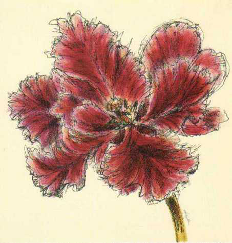 Obrázek 18x18, květ vínový, rám bílý s patinou