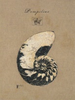 Obrázek 17x22, loděnka hlubinná, rám bílý s patinou