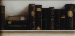 Obrázek 13x25, knihy tmavé, rám sv. dub - červotoč