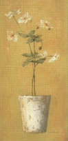 Obrázek 13x25, květina, rám sv. dub - červotoč