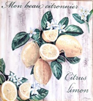 Obrázek 14x14, citrón, rám sv. dub - červotoč