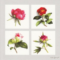 Obrázek 14x14, pivoňka - růst, rám bílý s patinou