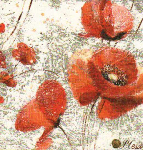 Obrázek 14x14, máky II., rám bílý s patinou