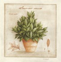 Obrázek 14x14, vavřín II., rám sv. dub - červotoč