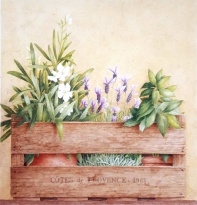 Obrázek 14x14, truhlík bylinek II., rám sv. dub - červotoč