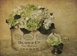 Obrázek 17x22, květiny ve zlatém V., rám bílý s patinou