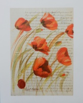 Obrázek 24x30, máky I., rám sv. dub - červotoč