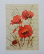 Obrázek 24x30, máky II., rám sv. dub - červotoč