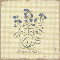 Obrázek 18x18, zvonky, rám bílý s patinou