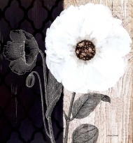 Obrázek 18x18, bílý květ I., rám bílý s patinou