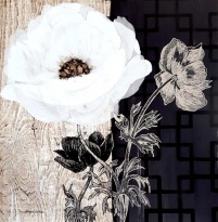 Obrázek 18x18, bílý květ II., rám bílý s patinou