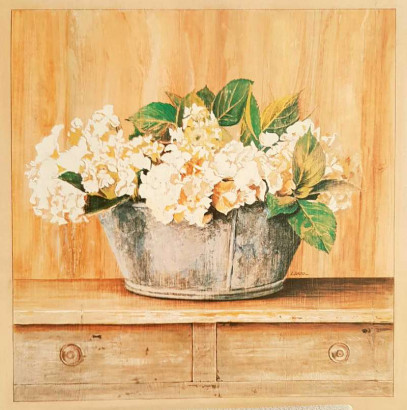 Obrázek 20x20, hortezie, rám bílý s patinou