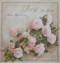 Obrázek 20x20, růže pnoucí, rám sv. dub - červotoč