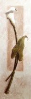 Obrázek 20x60, kala, rám sv. dub - červotoč
