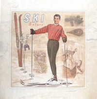 Obrázek 20x20, ski nature, rám sv. dub - červotoč