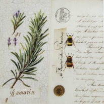 Obrázek 30x30, rozmarýna/dopis, rám sv. dub - červotoč