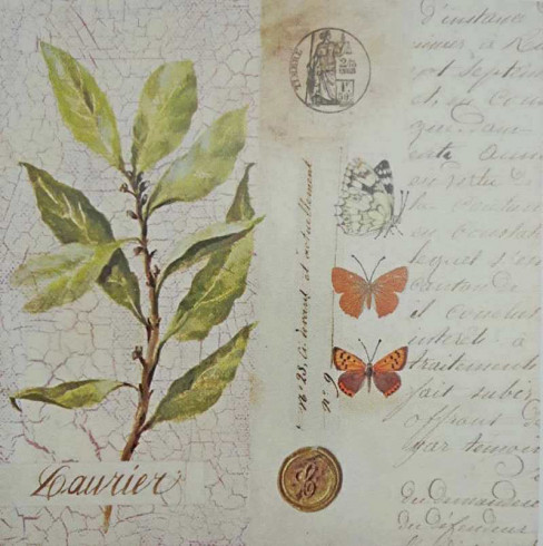 Obrázek 30x30, vavřín/dopis, rám sv. dub - červotoč