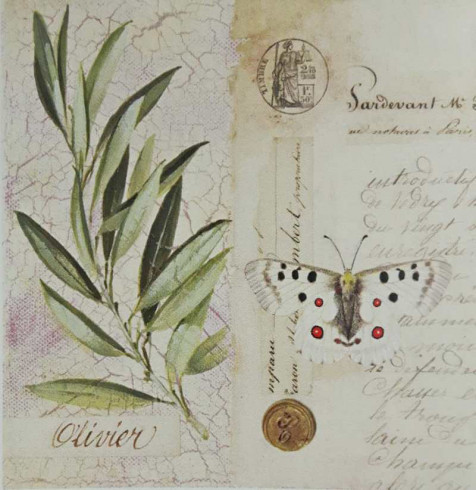 Obrázek 30x30, oliva/dopis, rám sv. dub - červotoč