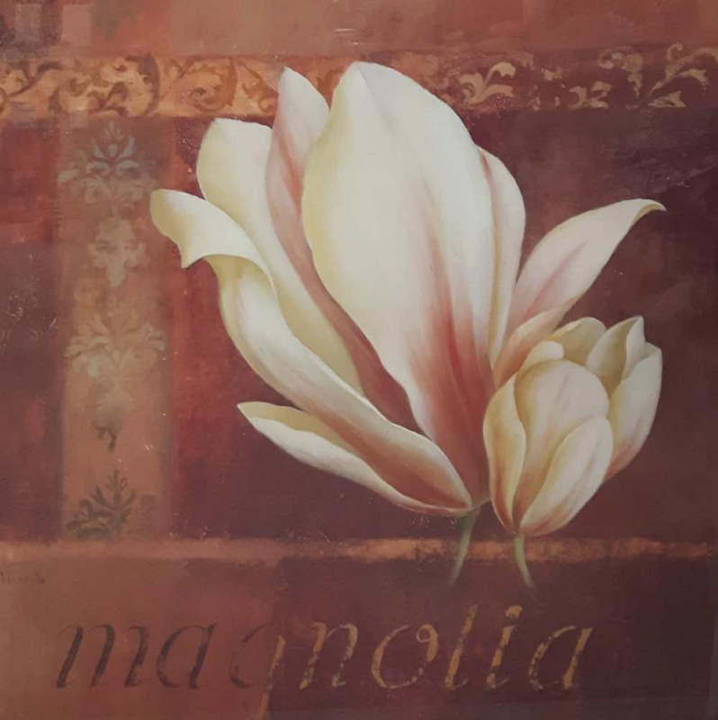 Obrázek 50x50, magnolie I., rám sv. dub - červotoč