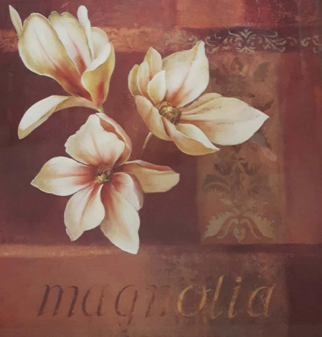 Obrázek 50x50, magnolie II., rám sv. dub - červotoč