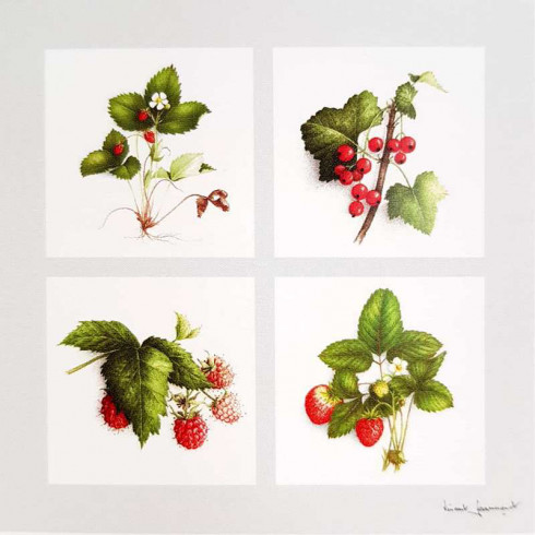 Obrázek 30x30, červené ovoce, rám sv. dub - červotoč