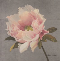 Obrázek 18x18, růžová pivoňka, rám sv. dub - červotoč