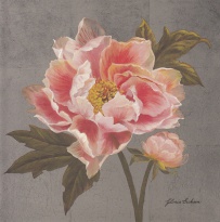 Obrázek 18x18, červenobílá pivoňka, rám sv. dub- červotoč